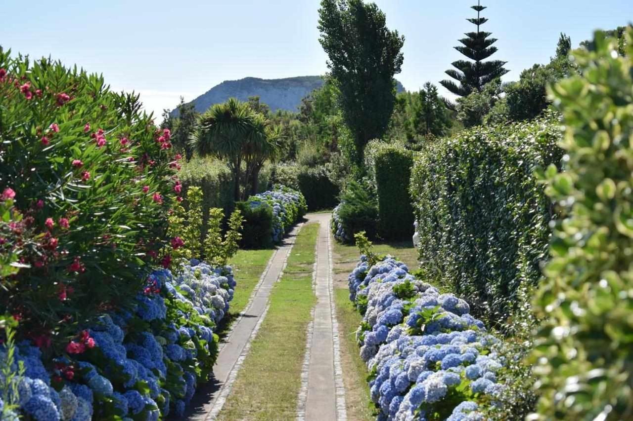 Quinta Da Meia Eira Castelo Branco  Bagian luar foto
