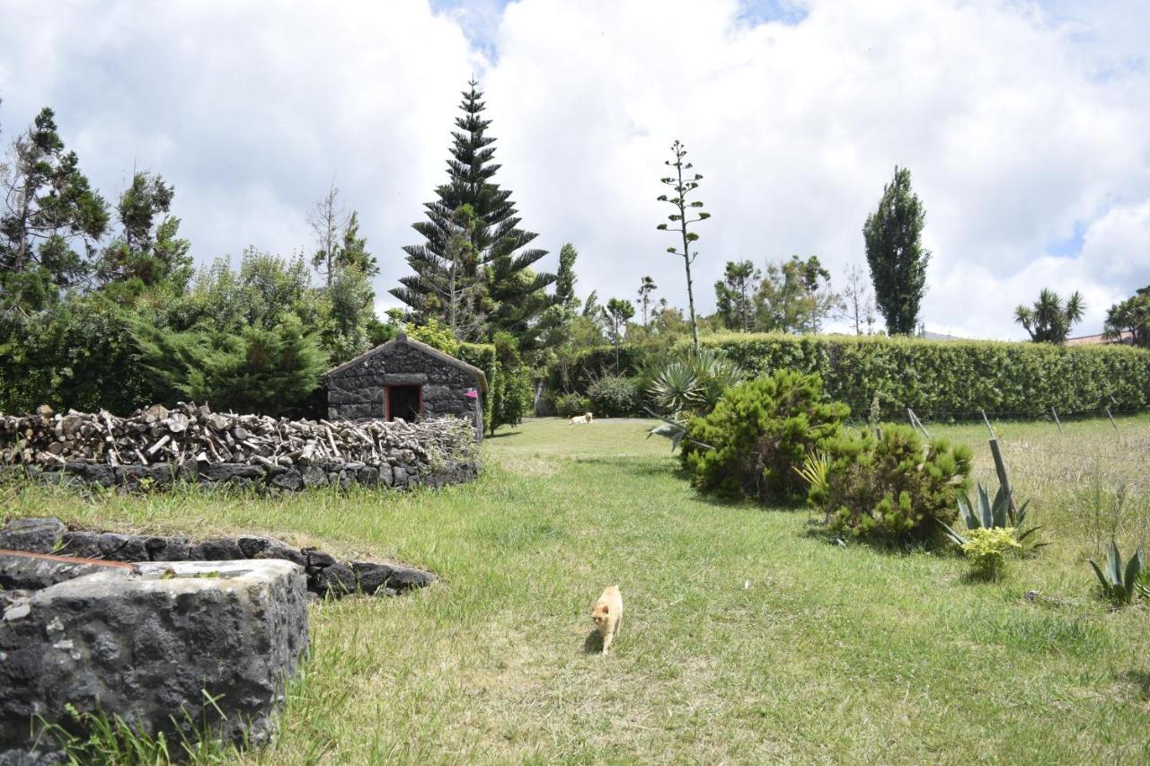 Quinta Da Meia Eira Castelo Branco  Bagian luar foto