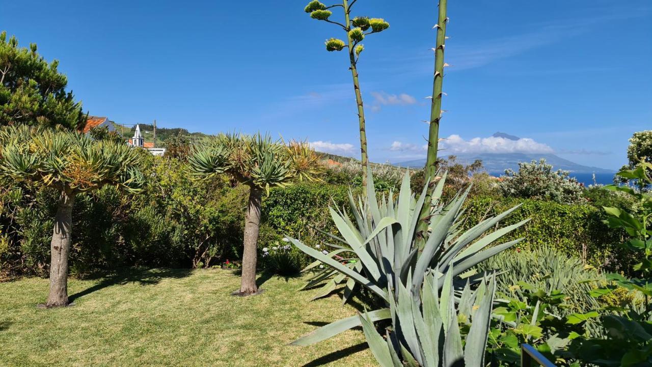 Quinta Da Meia Eira Castelo Branco  Bagian luar foto